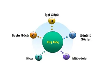 Göç Türleri Nelerdir?