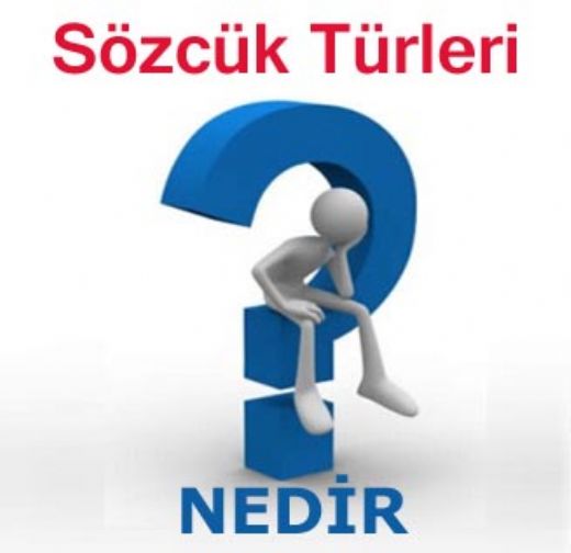 Sözcük Türleri Nelerdir?